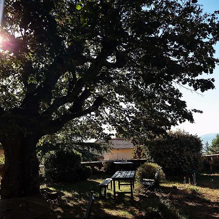 Chateau De Riverie Chambres Et Table D'Hotes Exterior foto