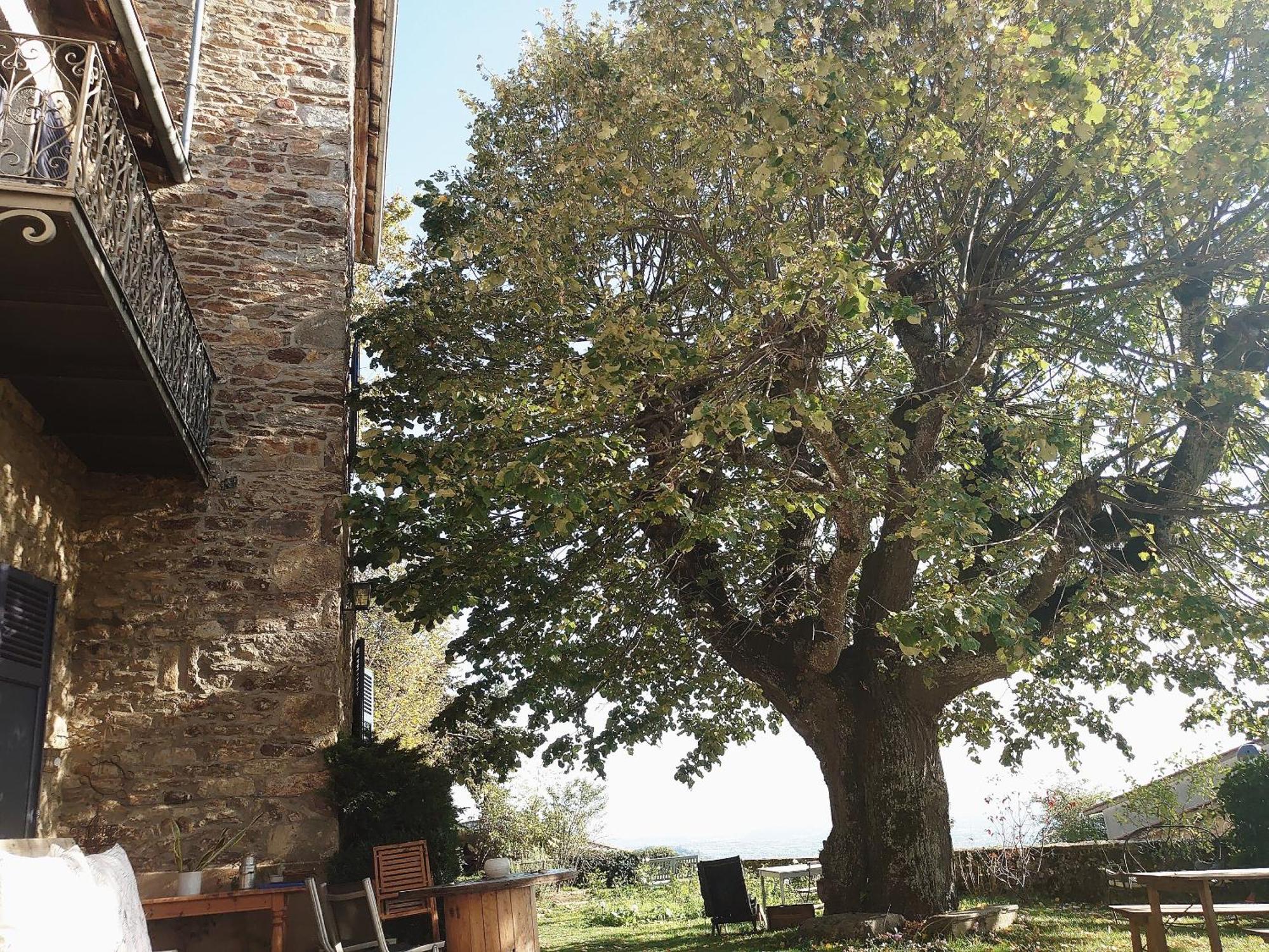 Chateau De Riverie Chambres Et Table D'Hotes Exterior foto